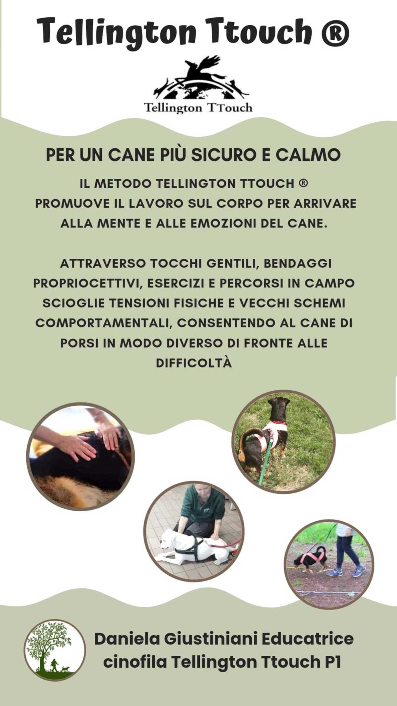 corsi DogBo Bologna