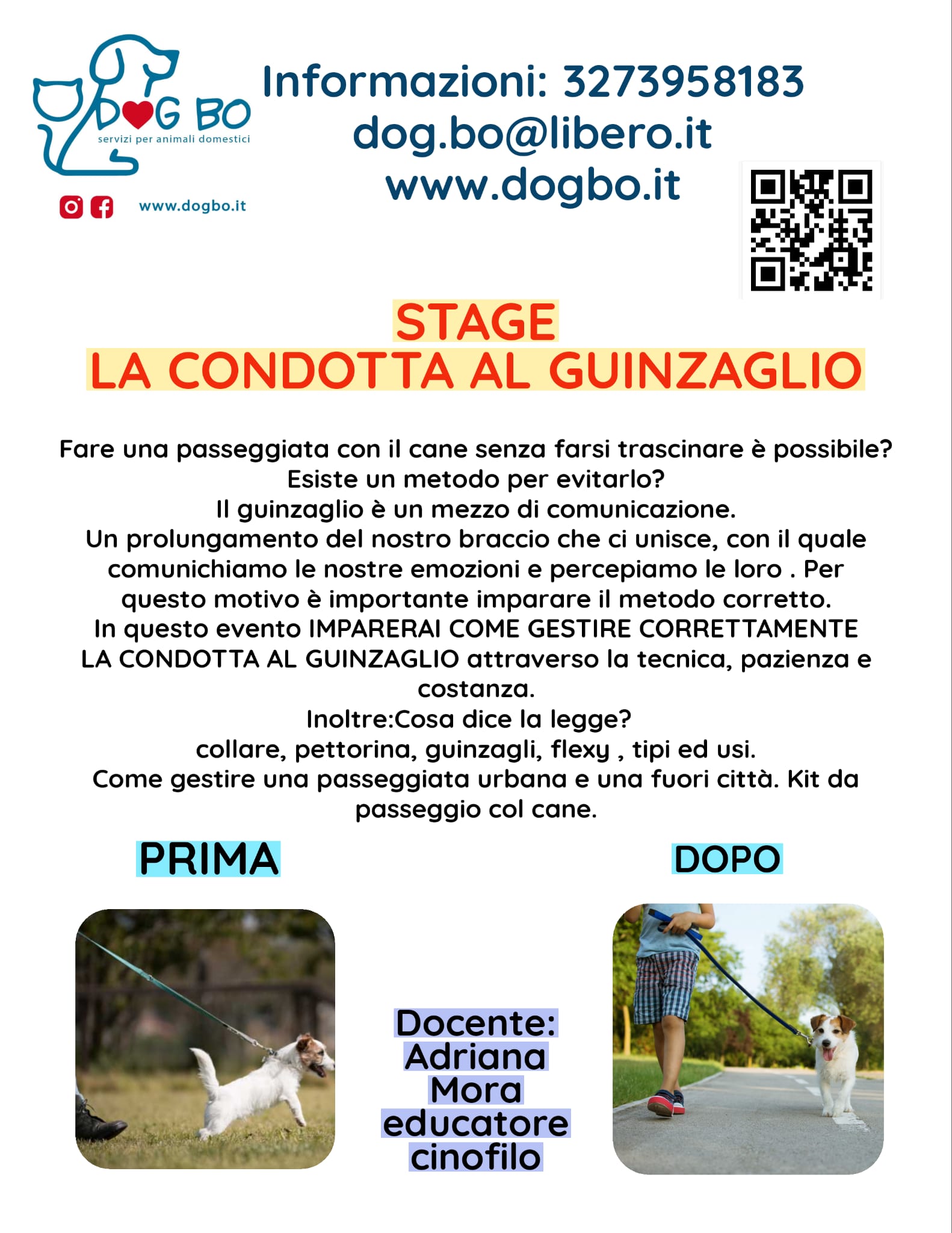 corsi DogBo Bologna